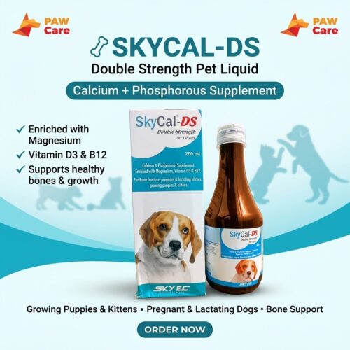 SkyCal-DS Pet Syrups a double-strength calcium, phosphorus, and multi-vitamin supplement designed to support the skeletal system and overall growth in dogs and cats.